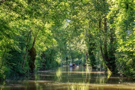 la venecia verde francia|La Venecia verde de la marisma poitevina